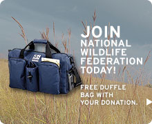 FREE duffle bag with your donation
